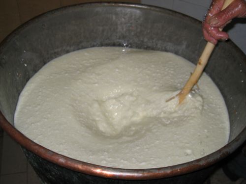 scuola di formaggio-13.JPG